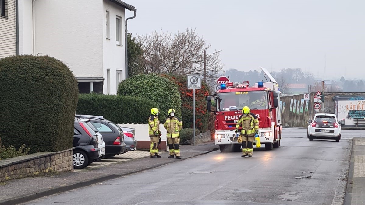 Mehr über den Artikel erfahren Einsatz 02/2021