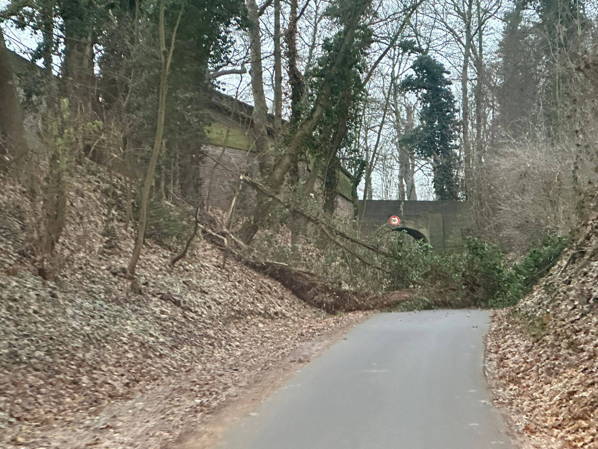 Mehr über den Artikel erfahren Einsatz 73/2025